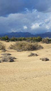 2023-GC--Mapalomas dunas-S123-087.jpg
